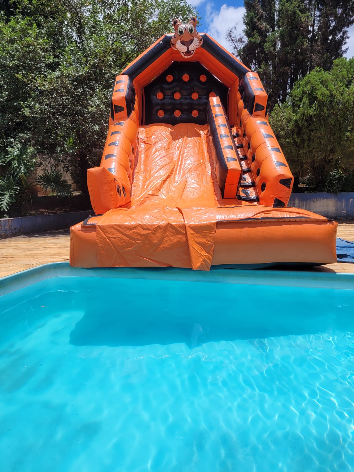 Tobogã Premium Tigrão